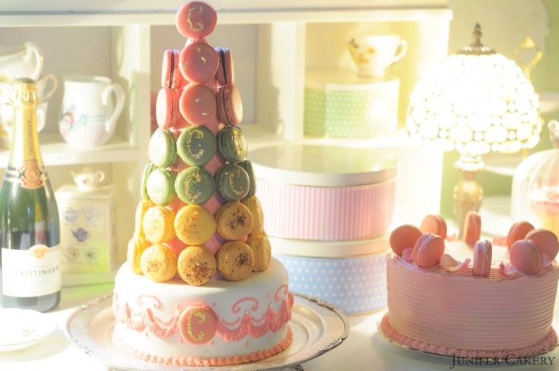 Macaron Tower Cake Made Using Tala Cake Marker