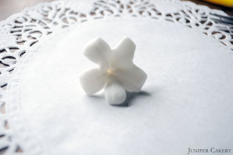 How to Make Fondant Strawberries and Strawberry Blossoms