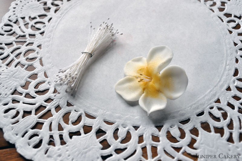 How to Make Fondant Strawberries and Strawberry Blossoms