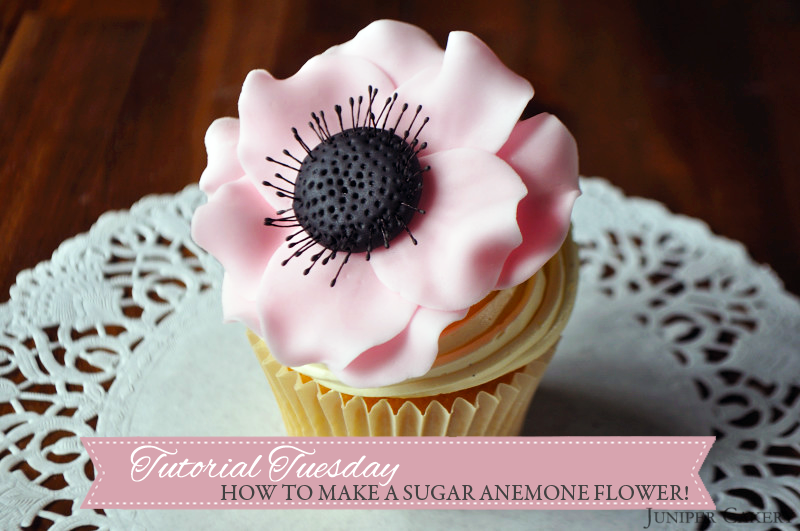 Tutorial Tuesday: How to make a sugar anemone flower for cakes