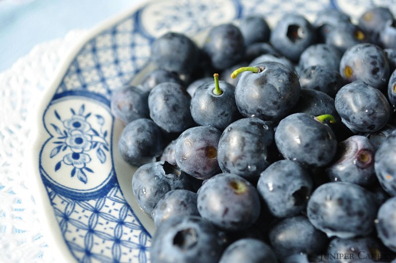 Blueberry Cake by Juniper Cakery