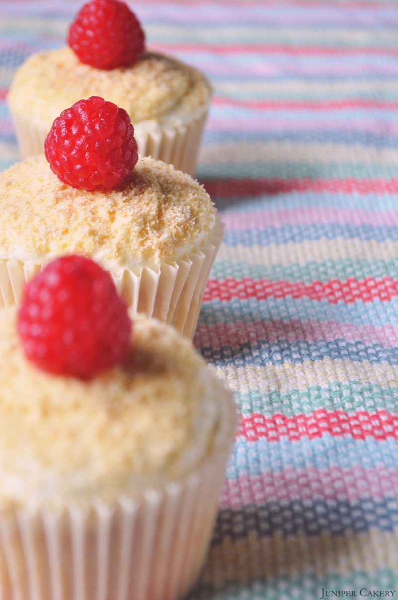 Raspberry Ripple Cake Development 