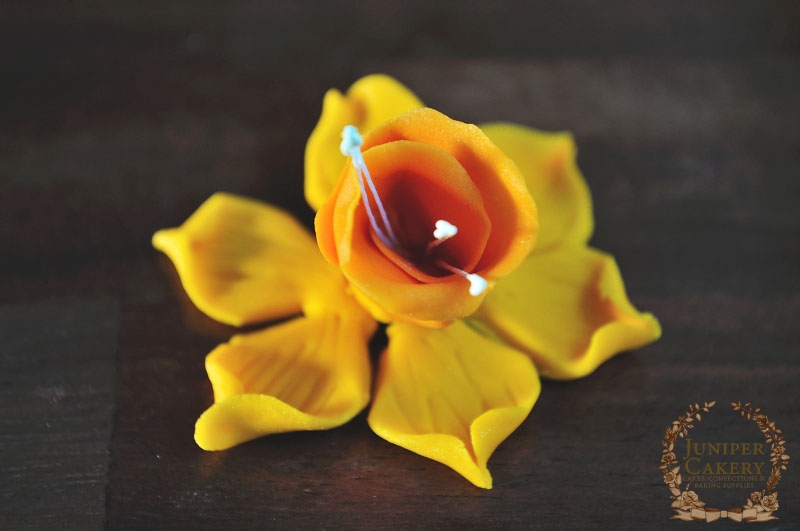 How to make a sugar daffodil by Juniper Cakery