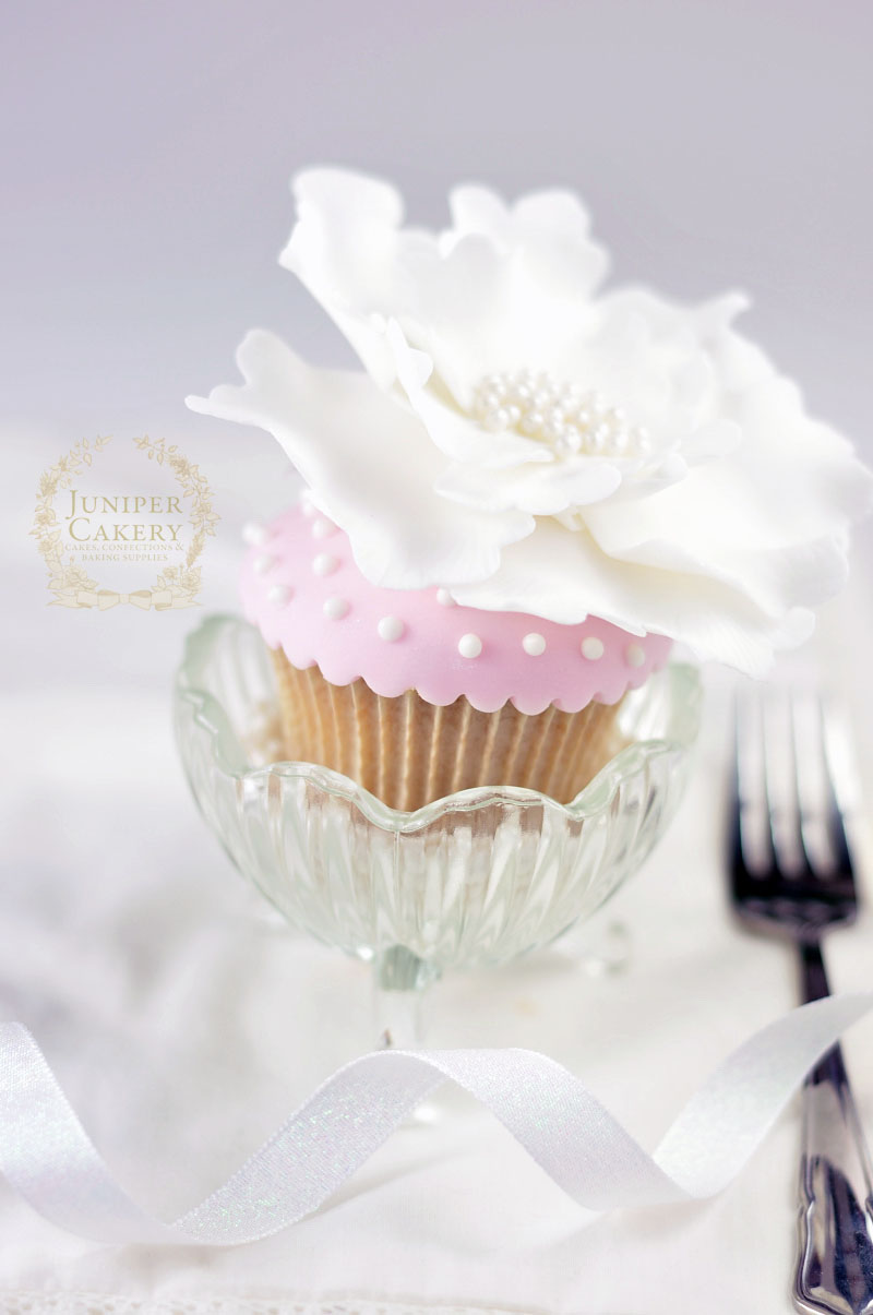 Polka dot icing tutorial by Juniper Cakery