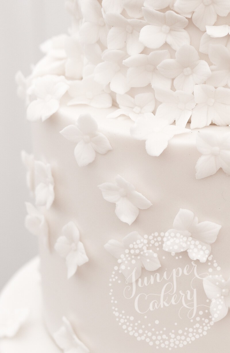 Elsham Hall white blossom wedding cake by Juniper Cakery